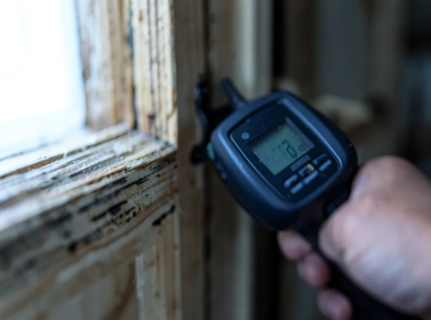 Moisture Inspection And Documentation in Gravois Mills, MO